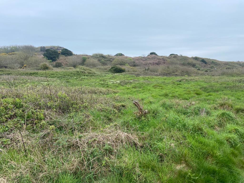 A typical offset scrub grassland mosaic which credit sales facilitate the creation of